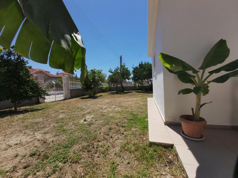 Konstantinos Apartments Ammoudia Extérieur photo